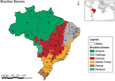 To clear or not to clear: Unpacking soy farmers' decision-making on deforestation in Brazil's Cerrado